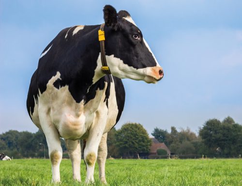 MILKER